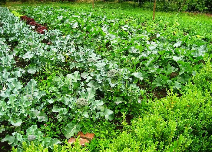 Hotel Aspect Park West 4*